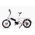 MOTORLIFE/OEM brand 36V 250w 20inch cargo electric bike with mid motor